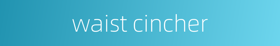 waist cincher的同义词