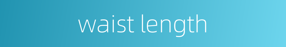 waist length的同义词