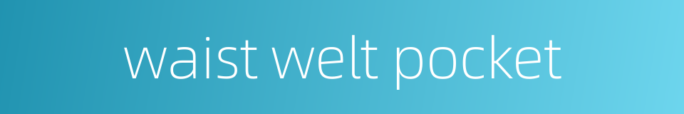 waist welt pocket的同义词