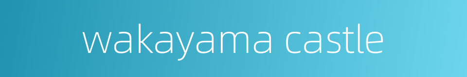 wakayama castle的同义词