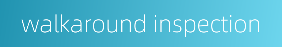 walkaround inspection的同义词