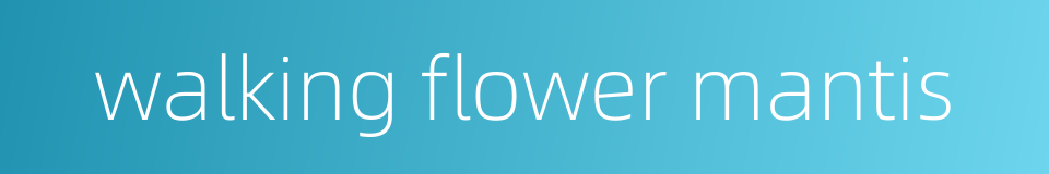 walking flower mantis的同义词
