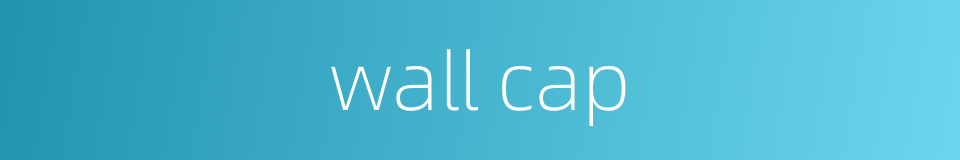 wall cap的同义词