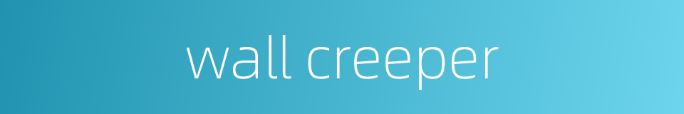 wall creeper的同义词