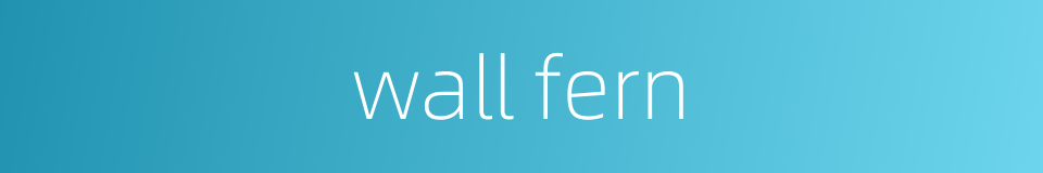 wall fern的同义词