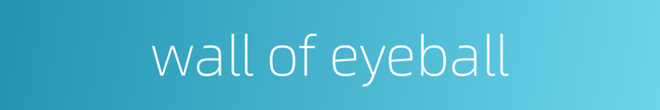 wall of eyeball的同义词