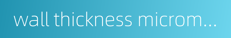 wall thickness micrometer gauge的同义词