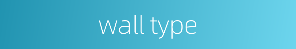 wall type的同义词