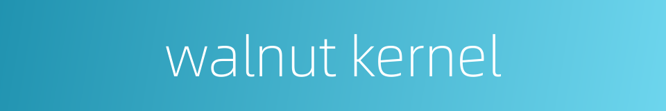 walnut kernel的同义词