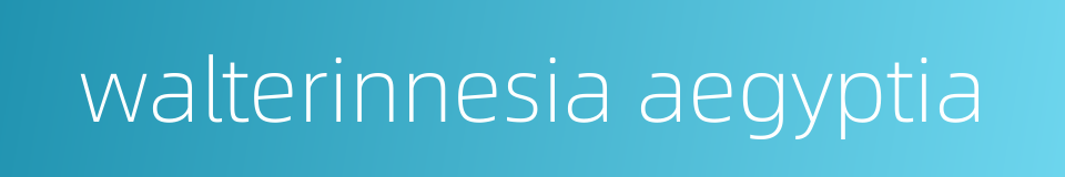 walterinnesia aegyptia的同义词