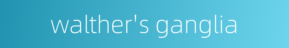 walther's ganglia的同义词
