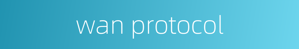 wan protocol的同义词
