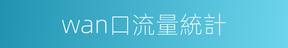 wan口流量統計的同義詞