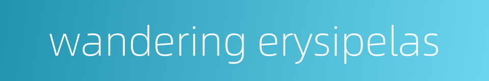 wandering erysipelas的同义词