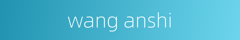 wang anshi的同义词