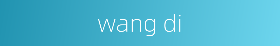 wang di的同义词