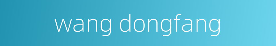 wang dongfang的同义词