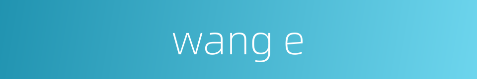 wang e的同义词