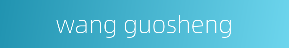 wang guosheng的同义词