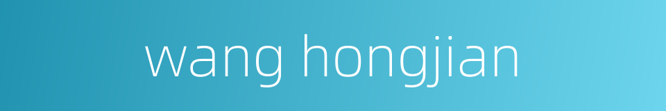 wang hongjian的同义词