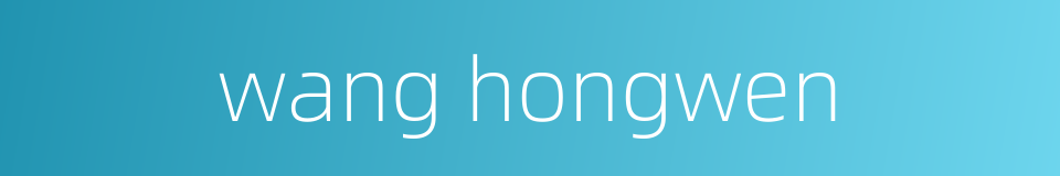 wang hongwen的同义词