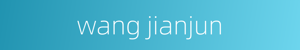 wang jianjun的同义词