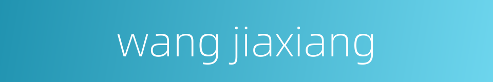 wang jiaxiang的同义词