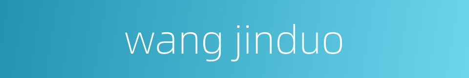 wang jinduo的同义词