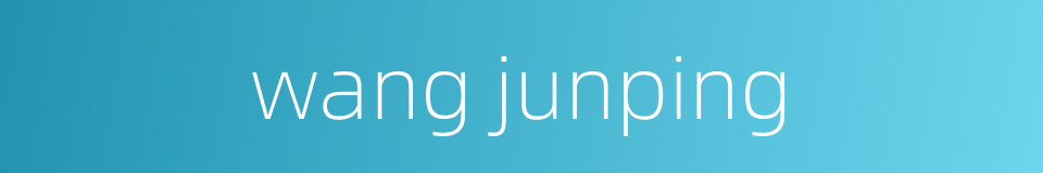 wang junping的同义词