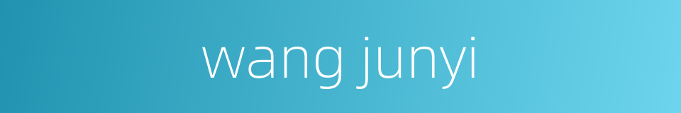 wang junyi的同义词