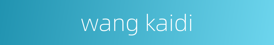 wang kaidi的同义词