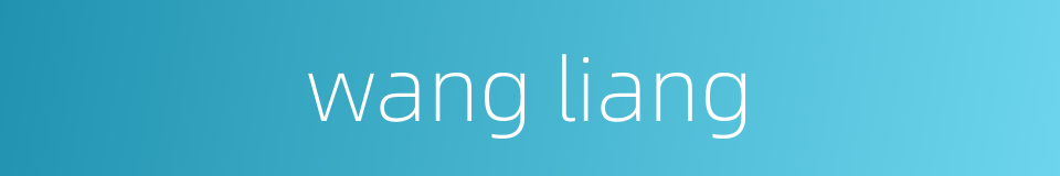 wang liang的同义词