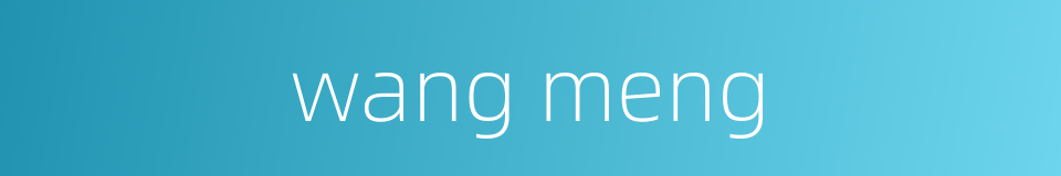 wang meng的同义词