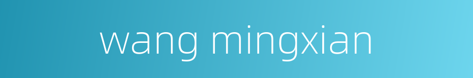 wang mingxian的同义词