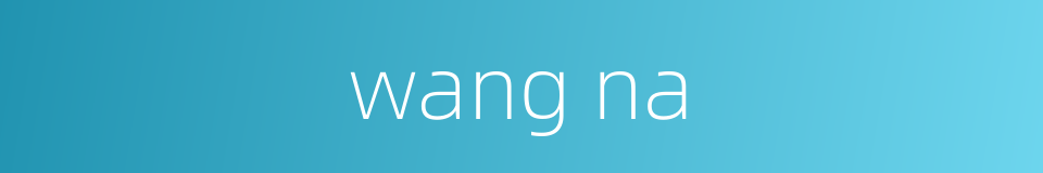 wang na的同义词
