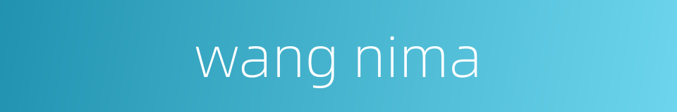 wang nima的同义词