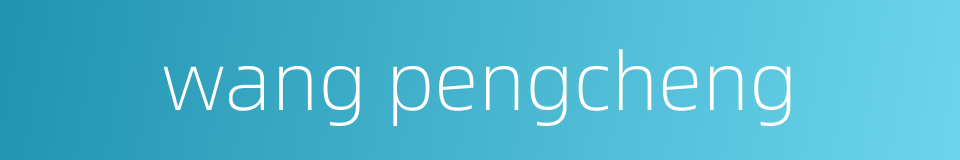 wang pengcheng的同义词