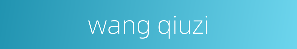 wang qiuzi的同义词