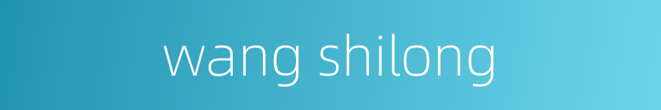wang shilong的同义词