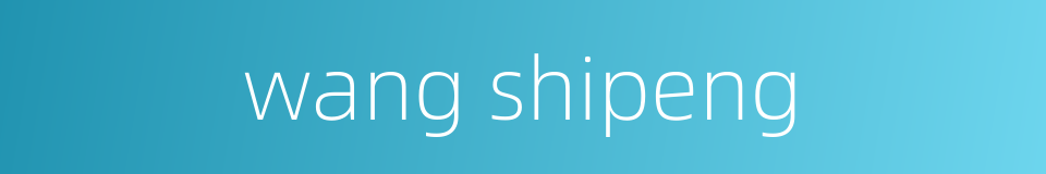 wang shipeng的同义词