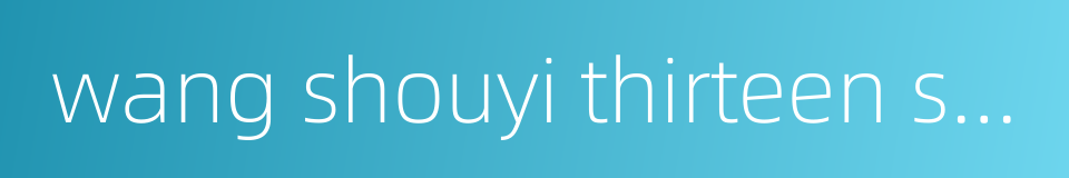 wang shouyi thirteen spices seasoning的同义词