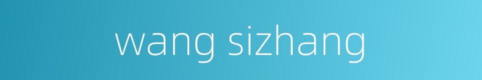 wang sizhang的同义词