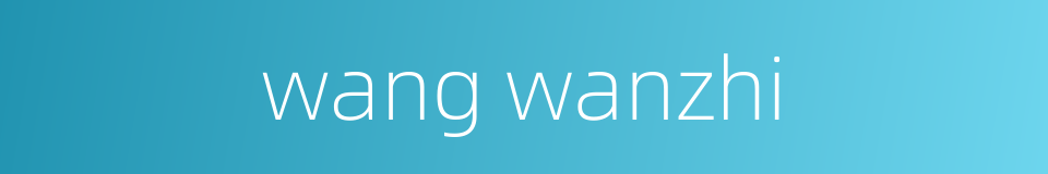 wang wanzhi的同义词