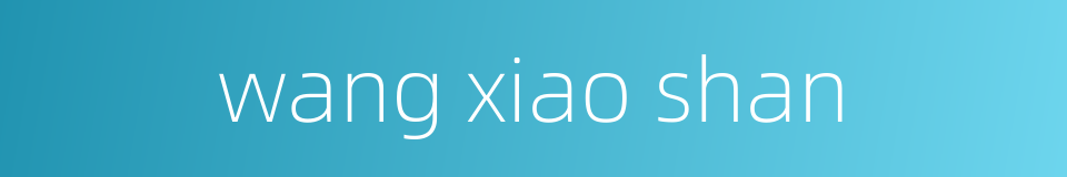 wang xiao shan的同义词