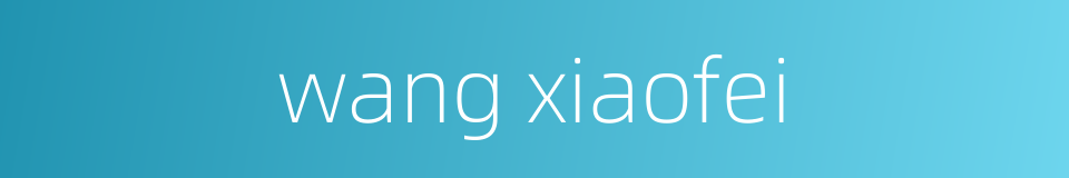 wang xiaofei的同义词