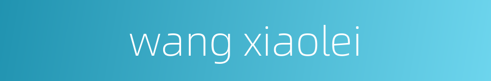 wang xiaolei的同义词