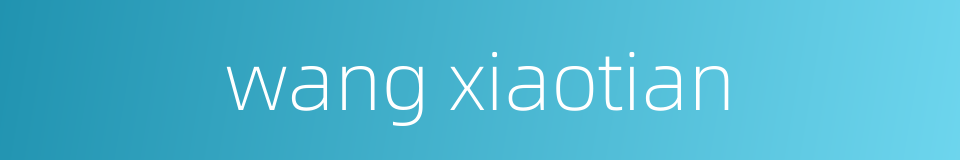 wang xiaotian的同义词
