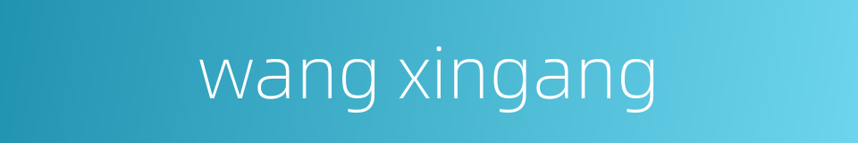 wang xingang的同义词