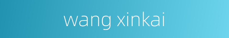 wang xinkai的同义词