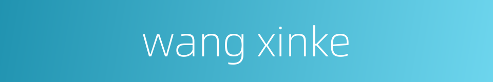 wang xinke的同义词